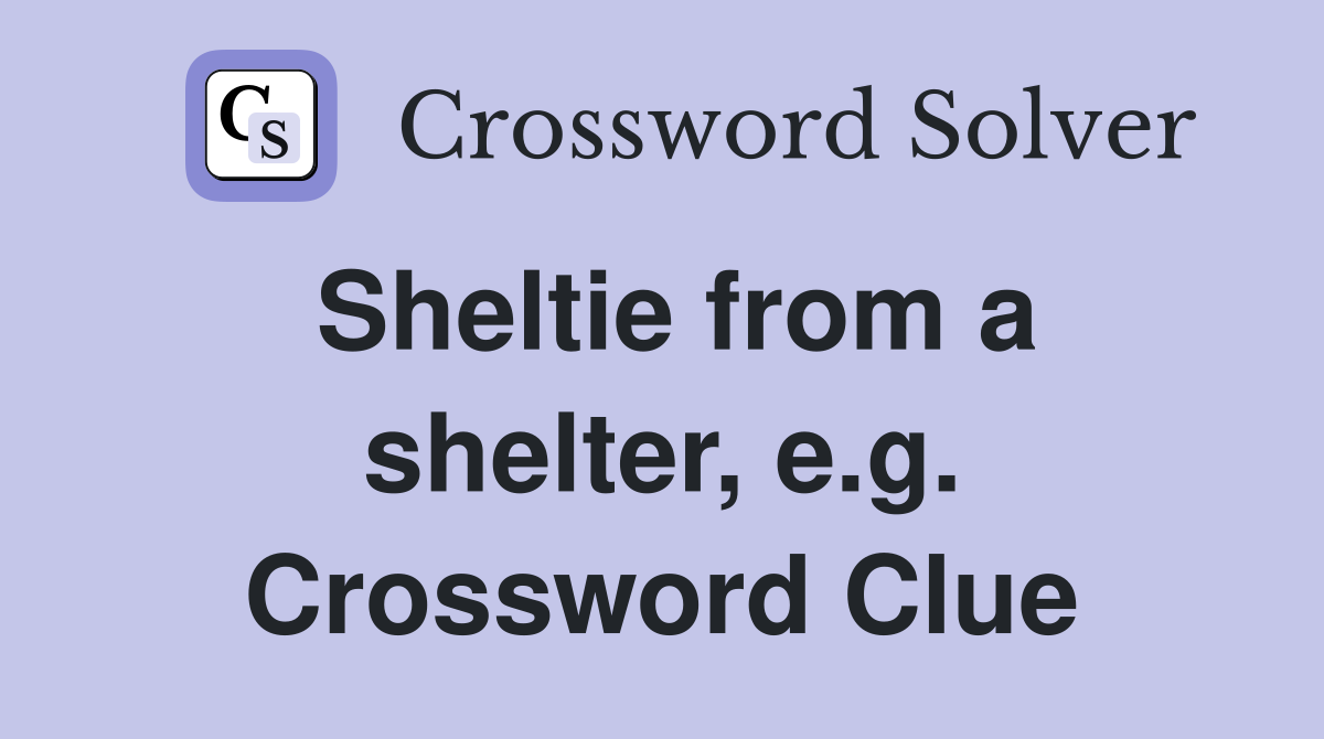 Sheltie from a shelter, e.g. Crossword Clue