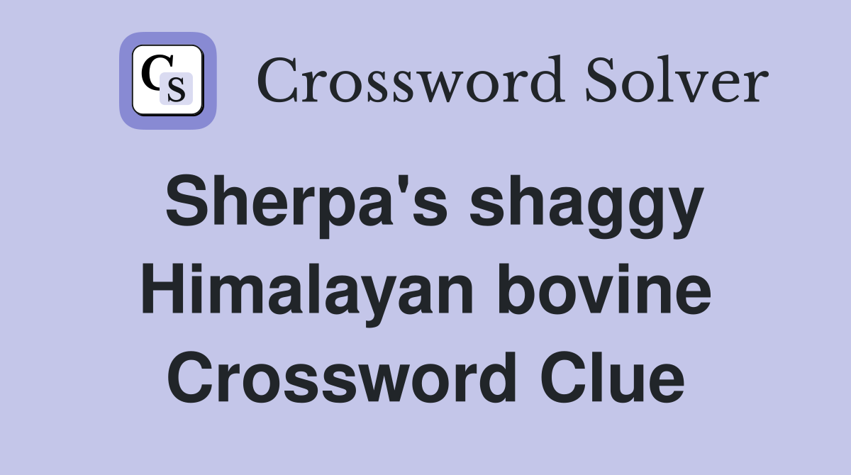 Sherpa's shaggy Himalayan bovine Crossword Clue