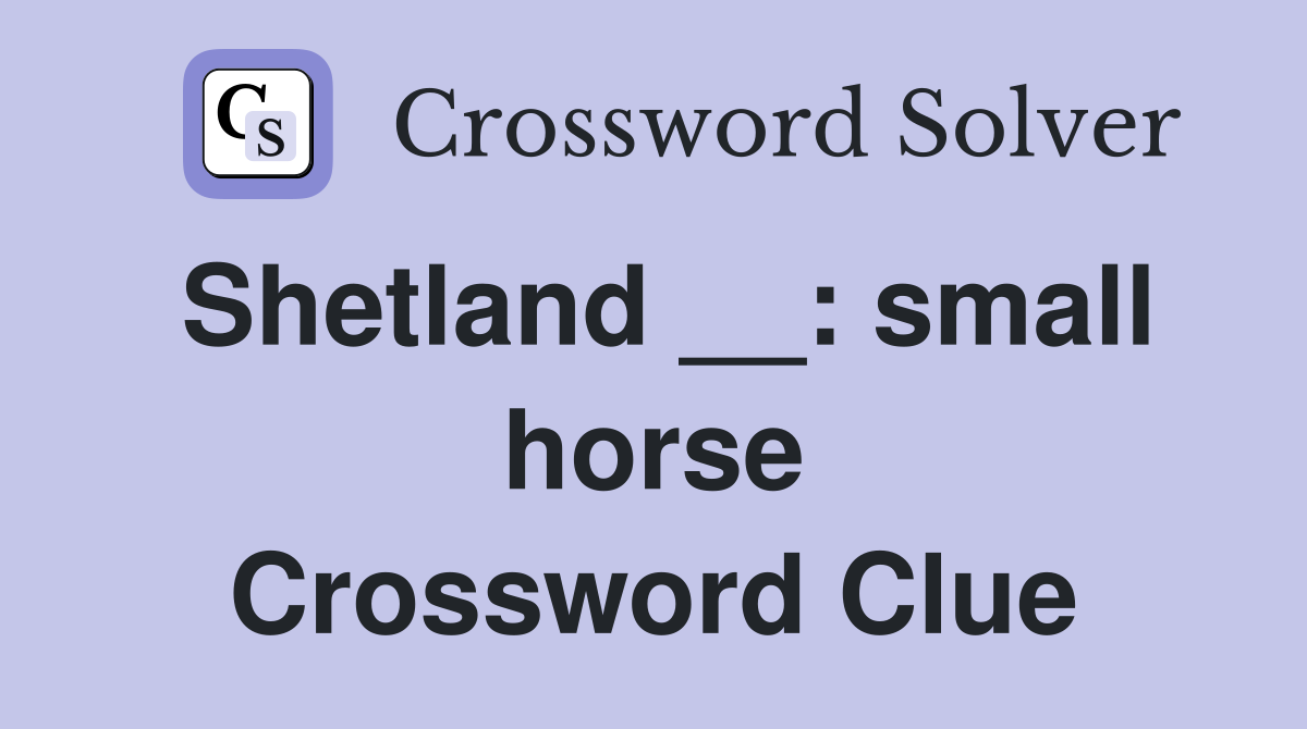 Shetland __: small horse Crossword Clue
