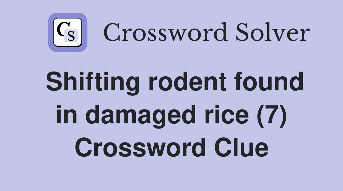 Shifting rodent found in damaged rice (7) Crossword Clue