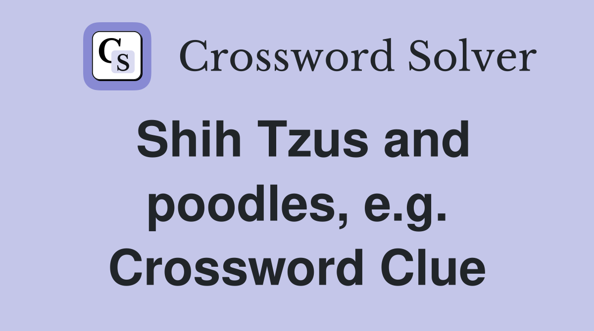 Shih Tzus and poodles, e.g. Crossword Clue