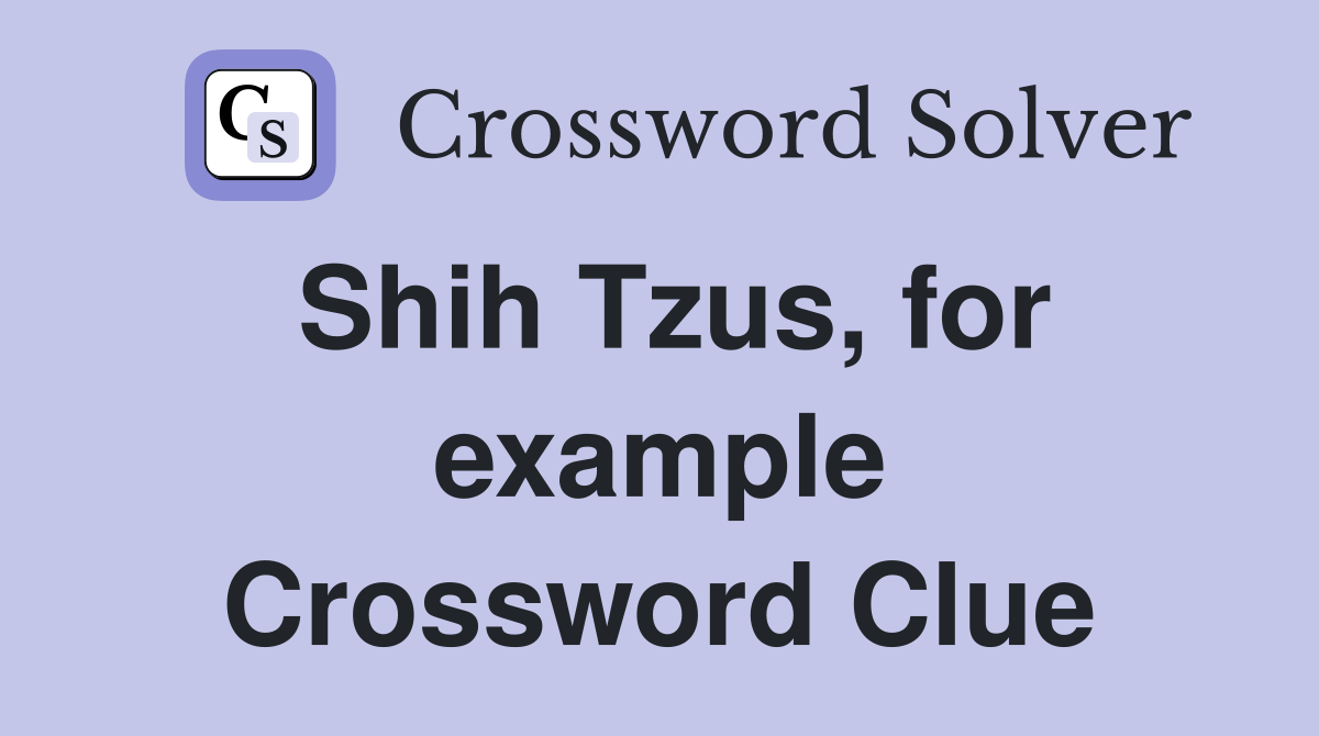 Shih Tzus, for example Crossword Clue