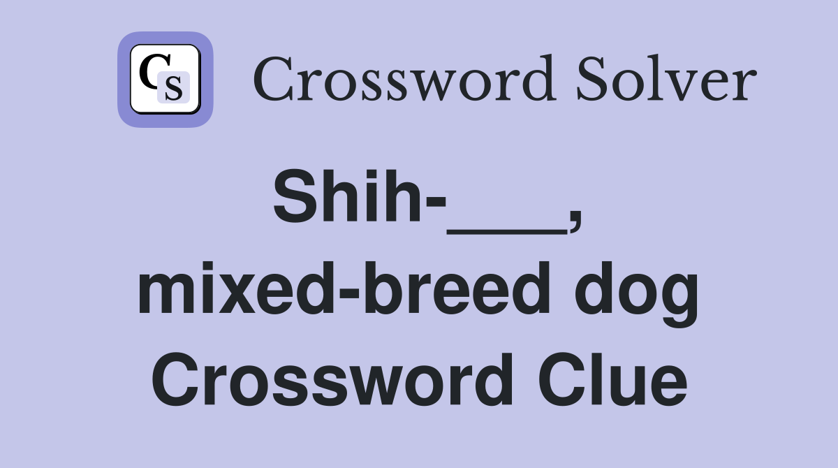 Shih-___, mixed-breed dog Crossword Clue