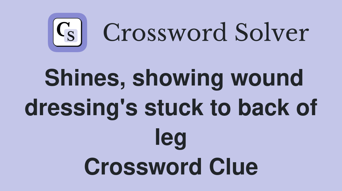 Shines, showing wound dressing's stuck to back of leg Crossword Clue