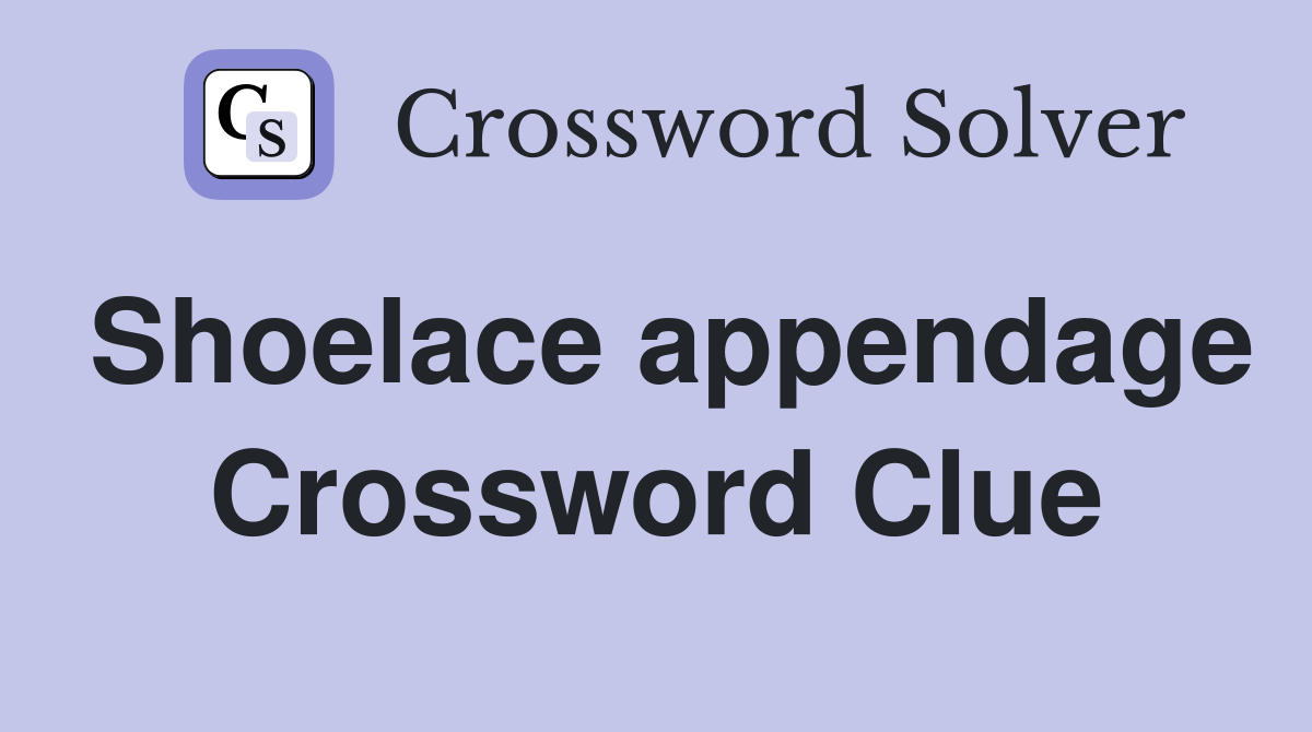 Shoelace appendage Crossword Clue