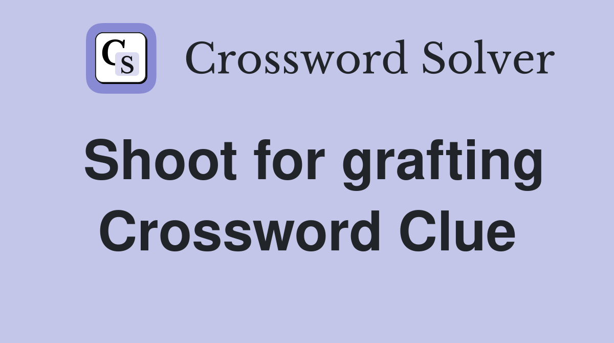 Shoot for grafting Crossword Clue