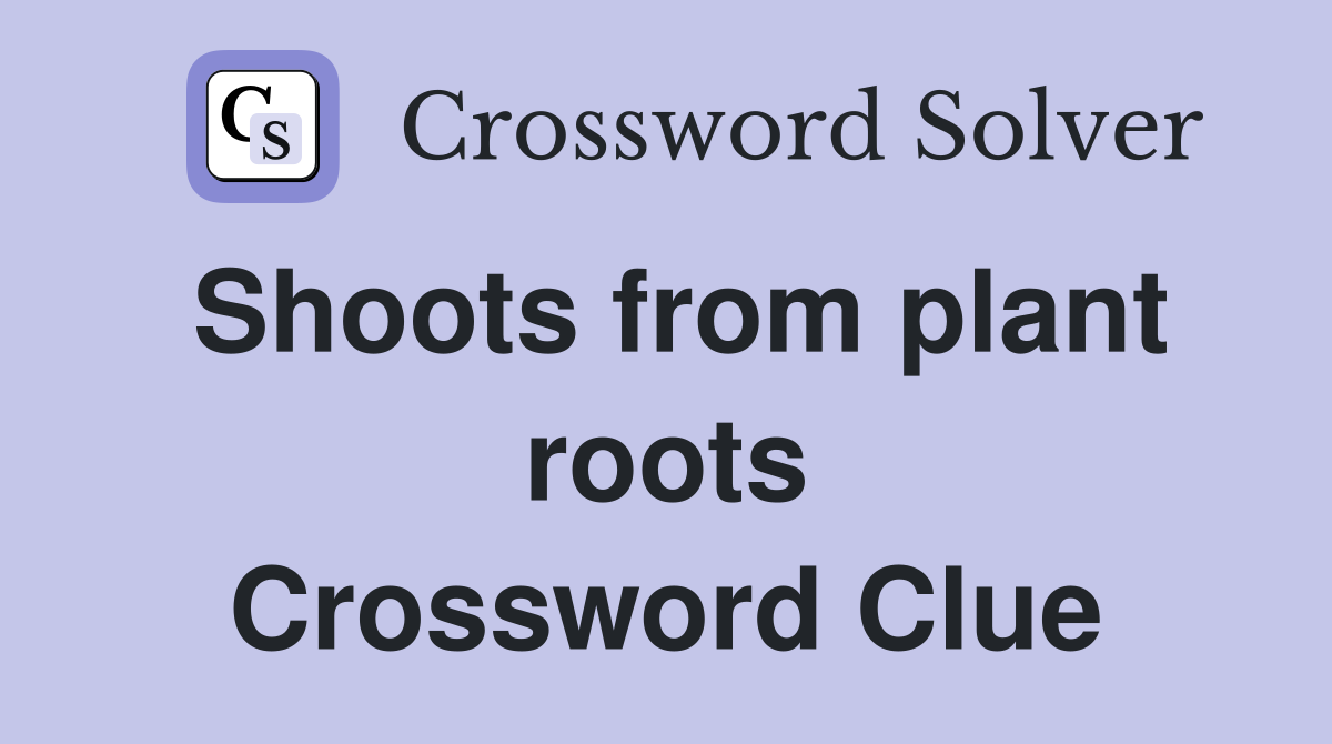 Shoots from plant roots Crossword Clue