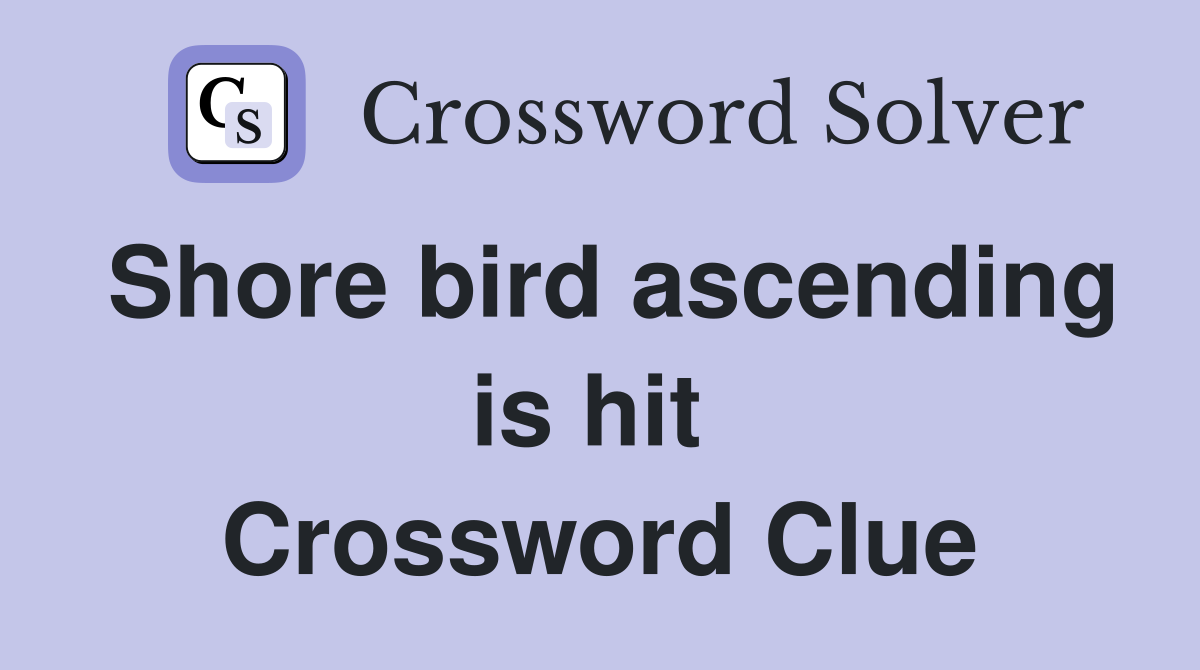 Shore bird ascending is hit  Crossword Clue