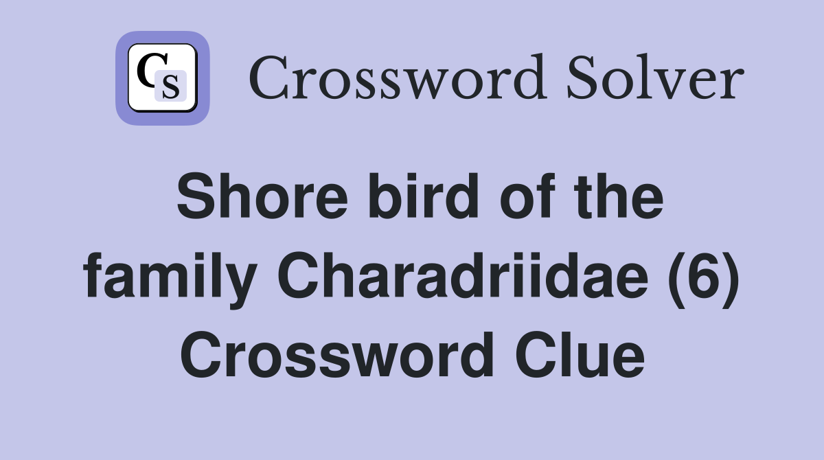 Shore bird of the family Charadriidae (6) Crossword Clue