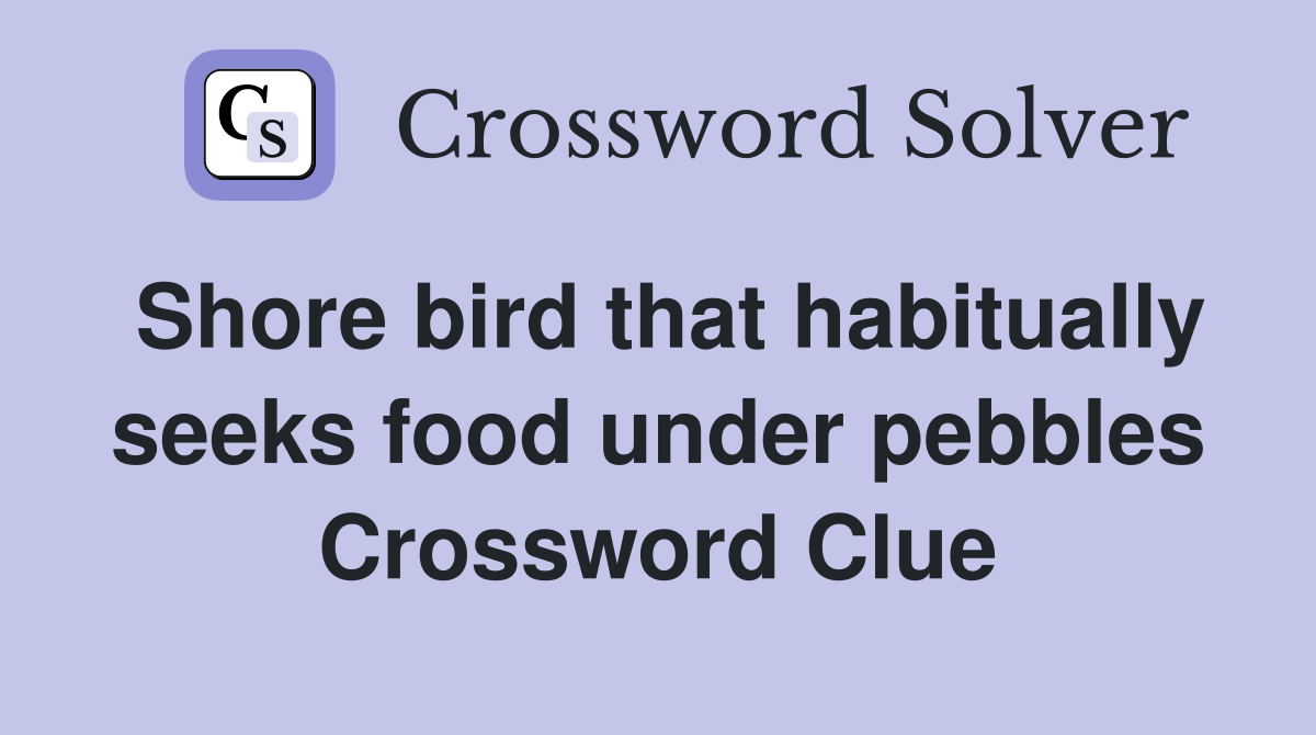 Shore bird that habitually seeks food under pebbles Crossword Clue