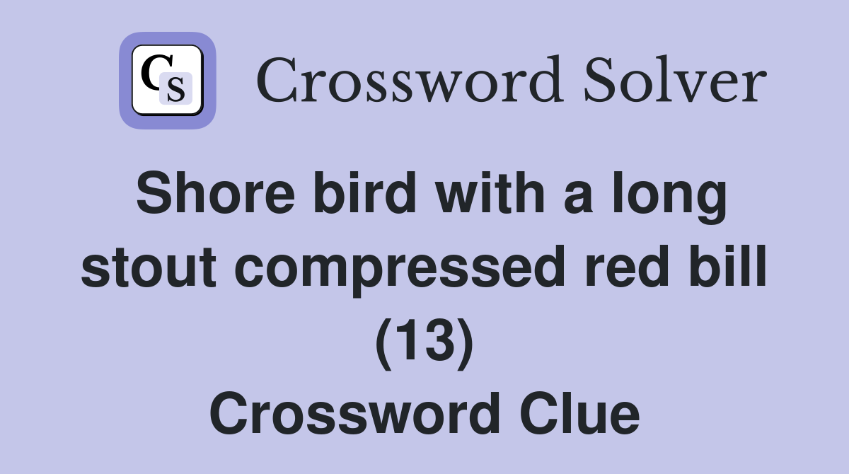 Shore bird with a long stout compressed red bill (13) Crossword Clue