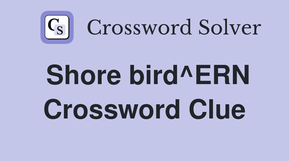 Shore bird^ERN Crossword Clue