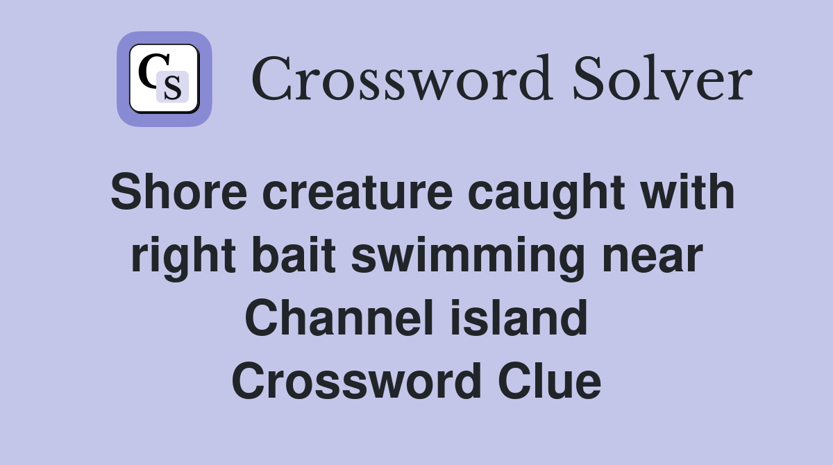 Shore creature caught with right bait swimming near Channel island Crossword Clue