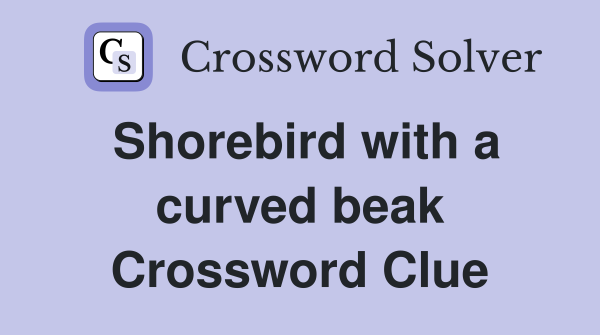 Shorebird with a curved beak Crossword Clue