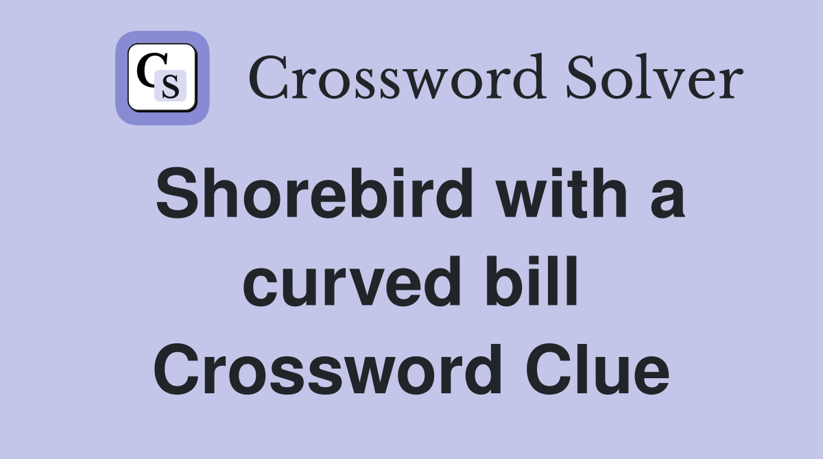 Shorebird with a curved bill Crossword Clue