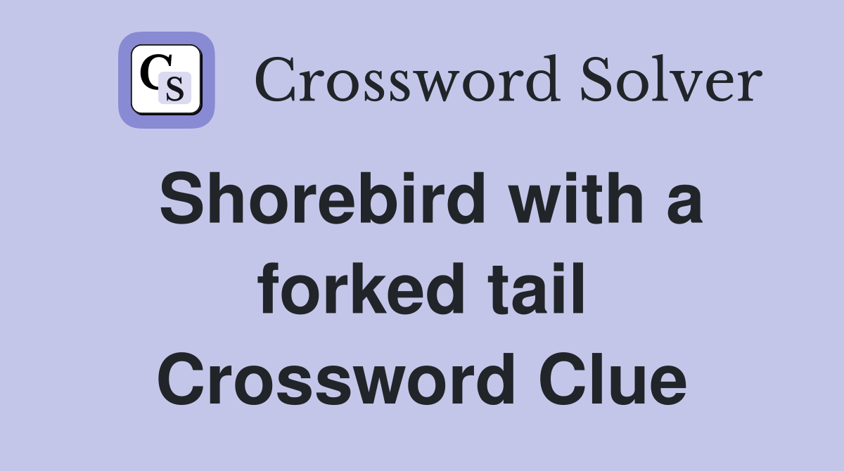 Shorebird with a forked tail Crossword Clue
