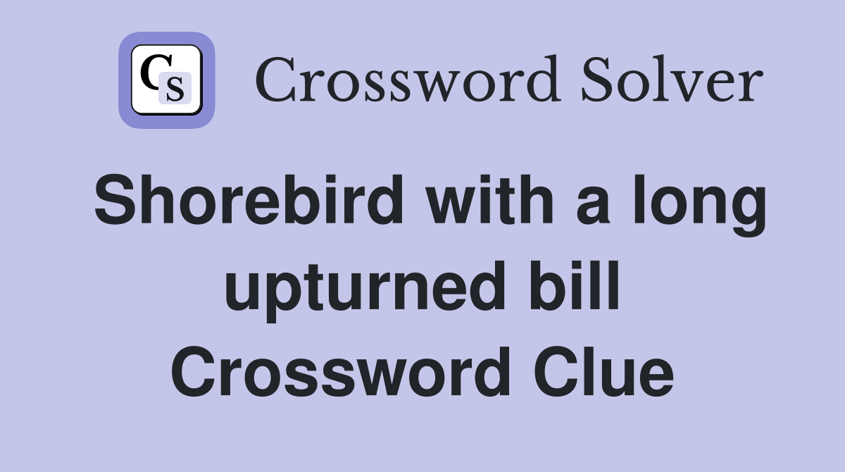 Shorebird with a long upturned bill Crossword Clue