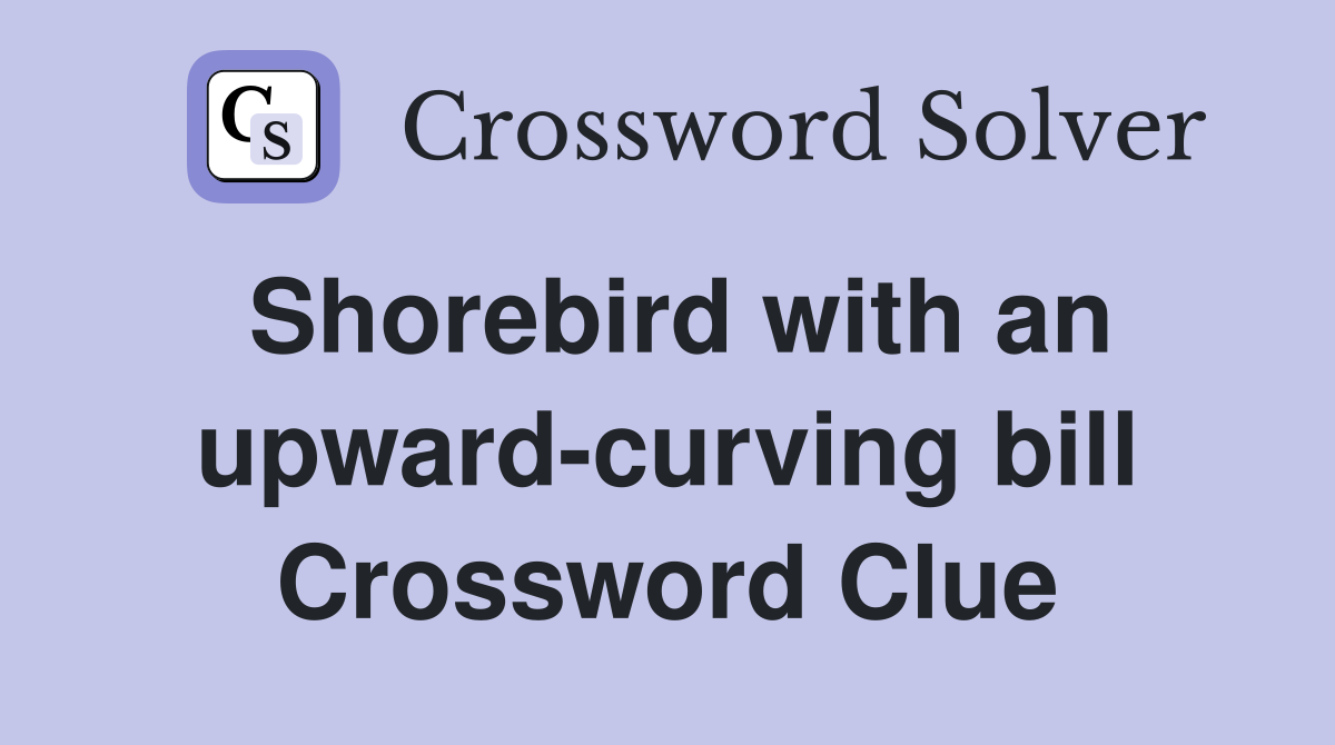 Shorebird with an upward-curving bill Crossword Clue