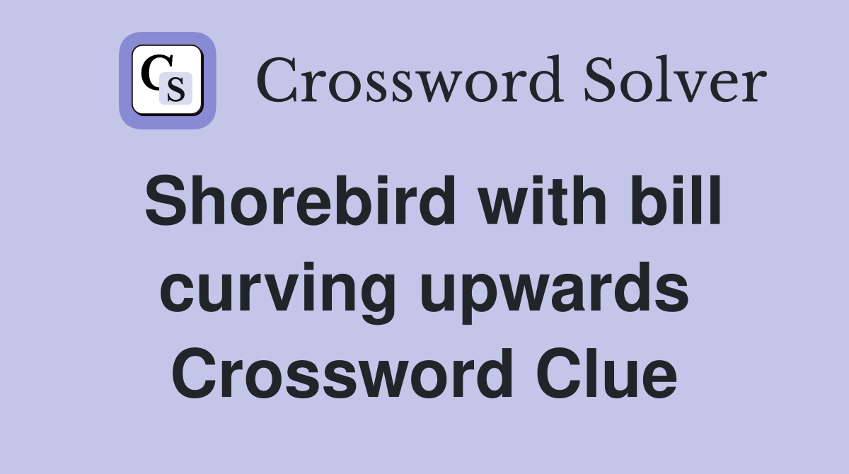 Shorebird with bill curving upwards Crossword Clue