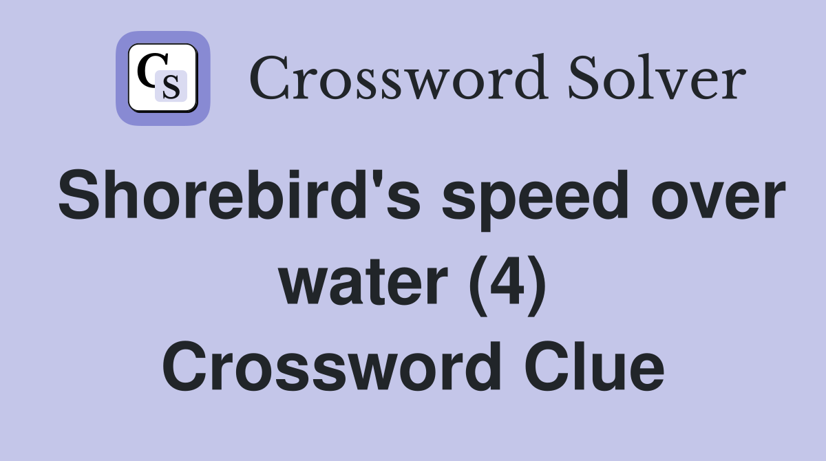 Shorebird's speed over water (4) Crossword Clue