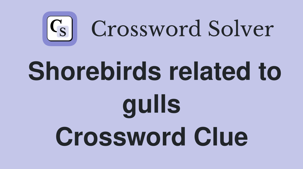 Shorebirds related to gulls Crossword Clue