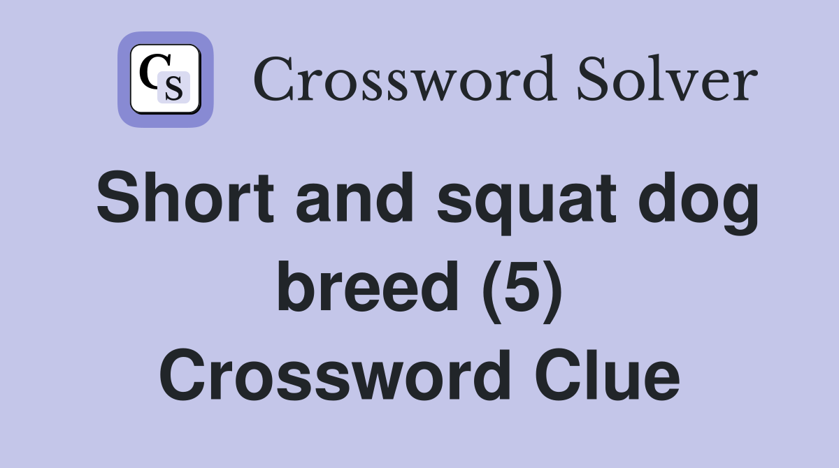 Short and squat dog breed (5) Crossword Clue