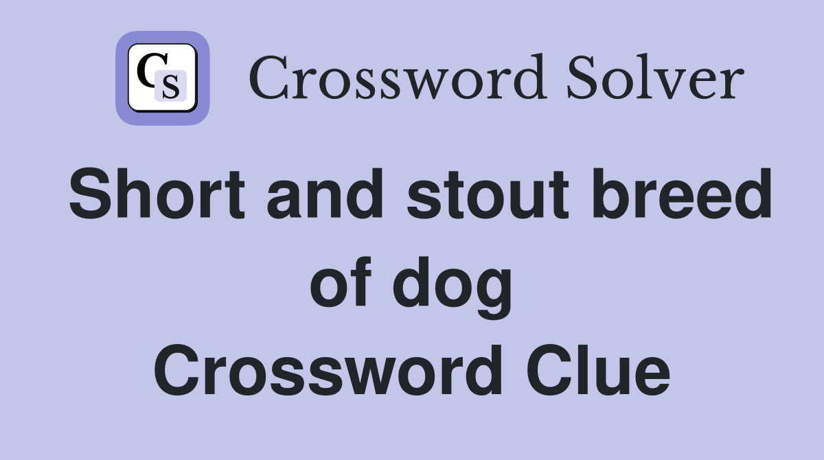 Short and stout breed of dog Crossword Clue