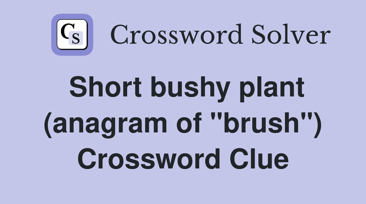 Short bushy plant (anagram of "brush") Crossword Clue