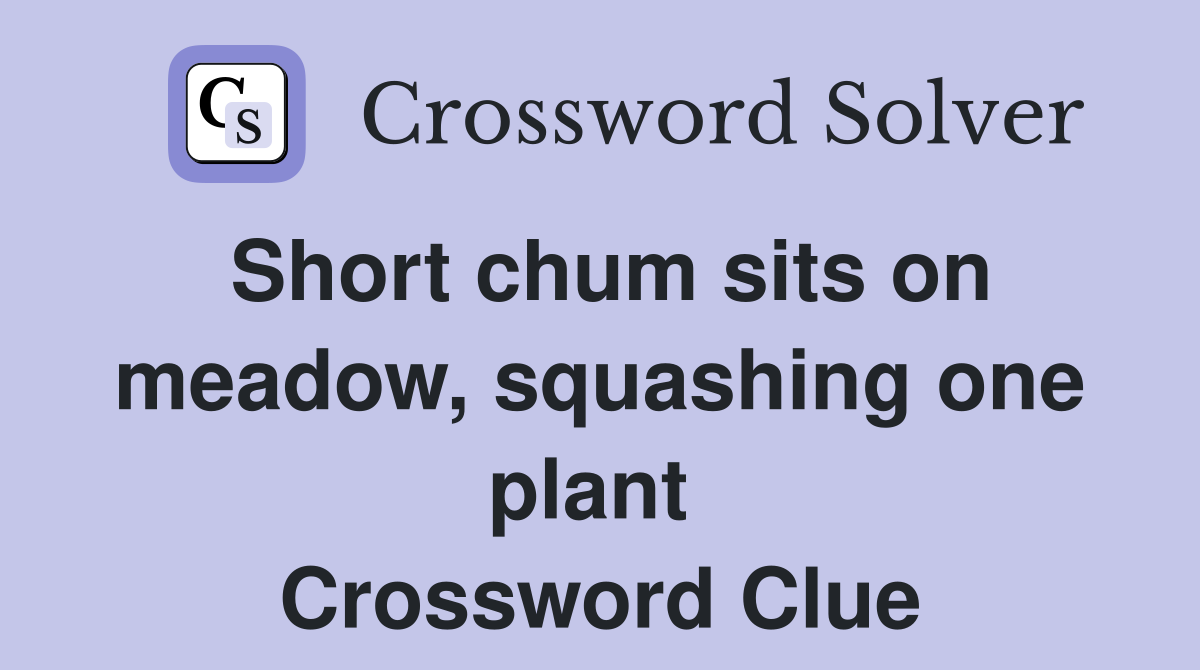 Short chum sits on meadow, squashing one plant  Crossword Clue