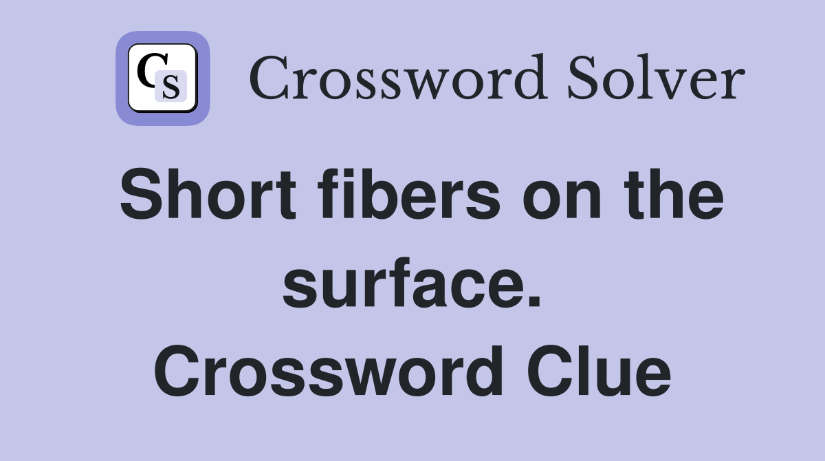Short fibers on the surface. Crossword Clue