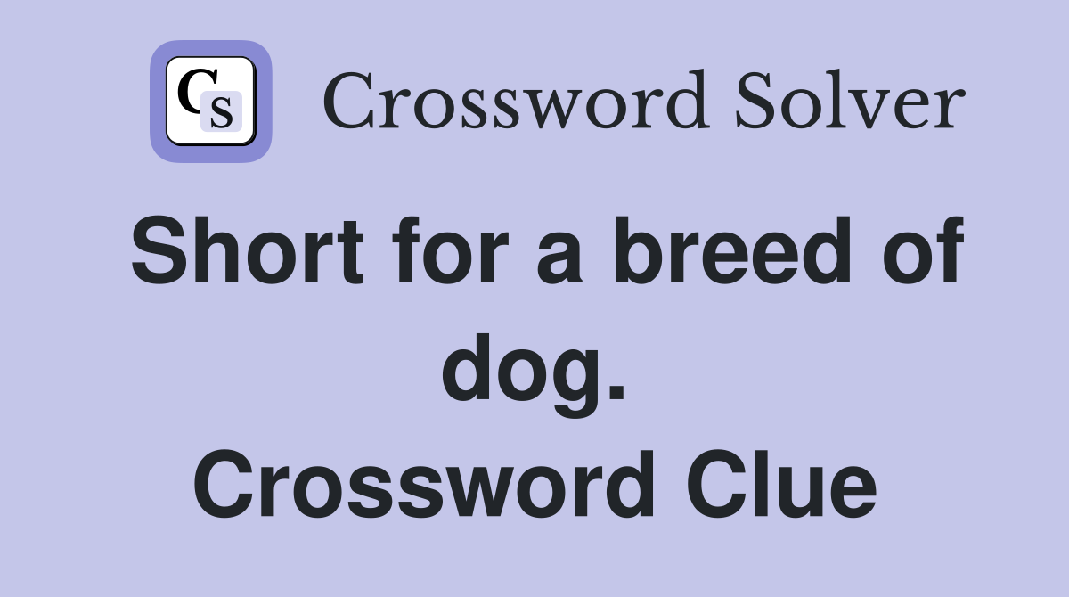Short for a breed of dog. Crossword Clue