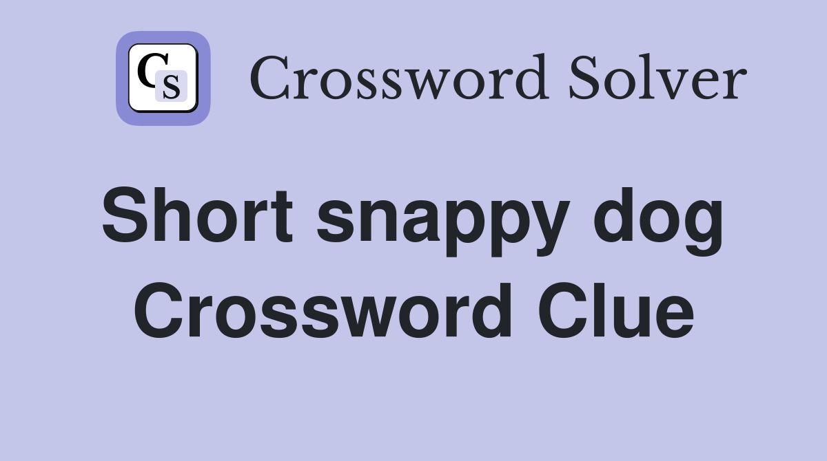 Short snappy dog  Crossword Clue