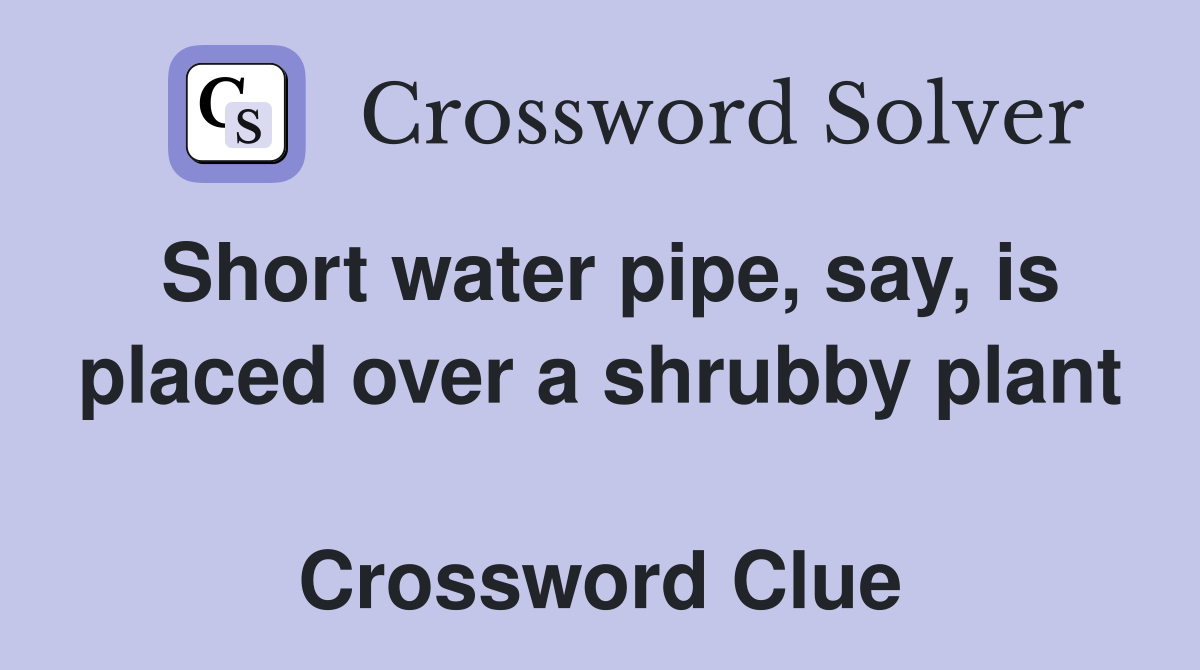 Short water pipe, say, is placed over a shrubby plant  Crossword Clue