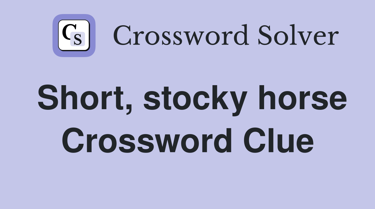 Short, stocky horse Crossword Clue