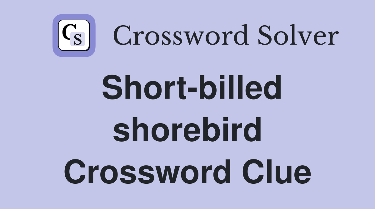 Short-billed shorebird Crossword Clue