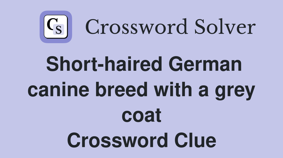 Short-haired German canine breed with a grey coat Crossword Clue