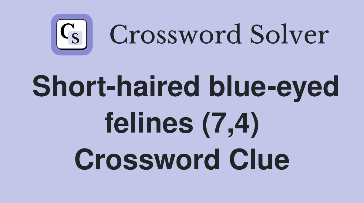 Short-haired blue-eyed felines (7,4) Crossword Clue