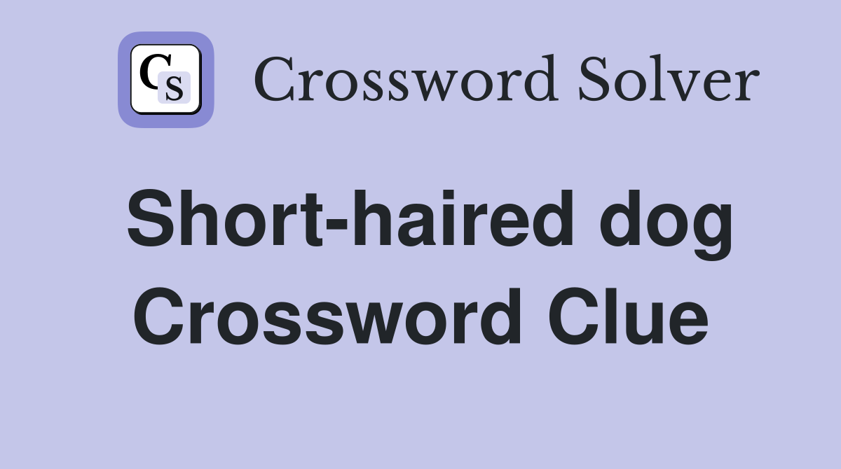 Short-haired dog Crossword Clue