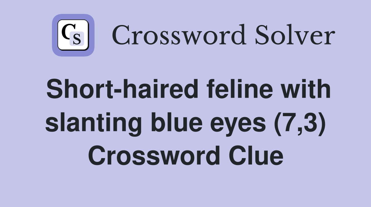 Short-haired feline with slanting blue eyes (7,3) Crossword Clue