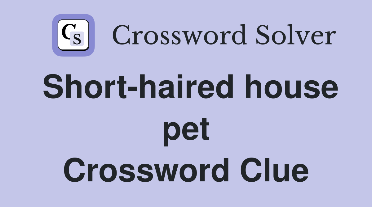 Short-haired house pet Crossword Clue