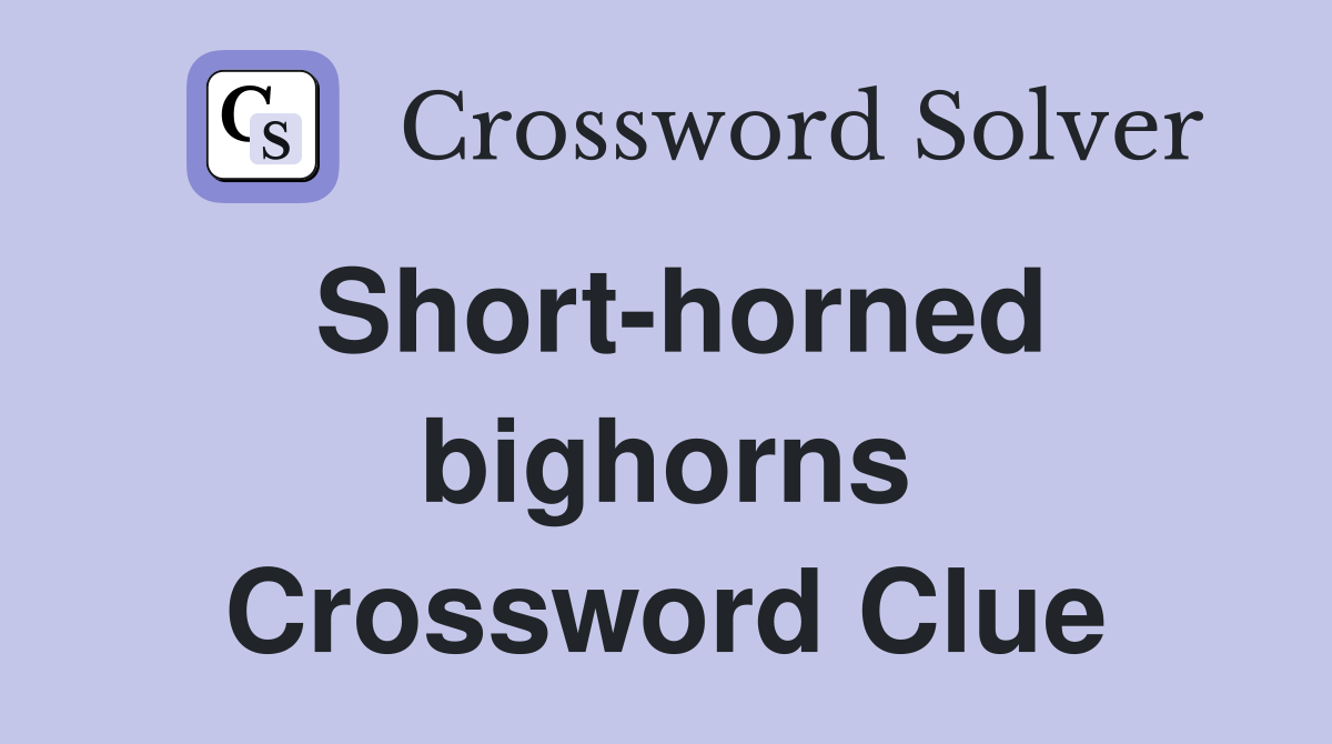 Short-horned bighorns Crossword Clue