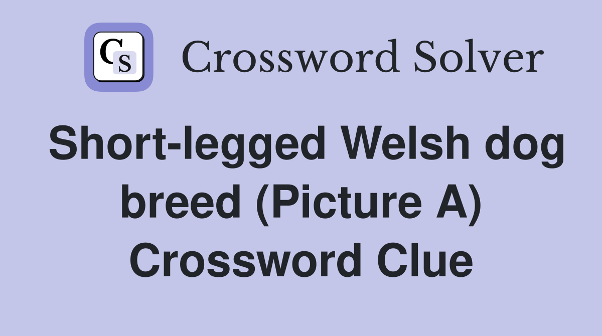 Short-legged Welsh dog breed (Picture A) Crossword Clue