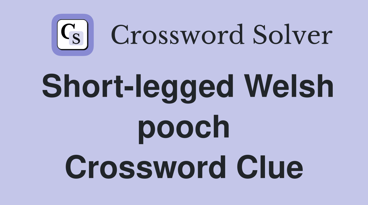Short-legged Welsh pooch Crossword Clue