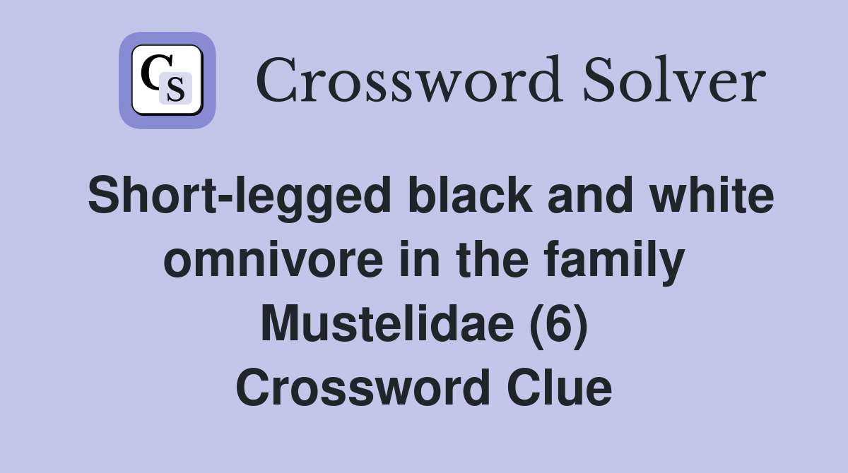 Short-legged black and white omnivore in the family Mustelidae (6) Crossword Clue