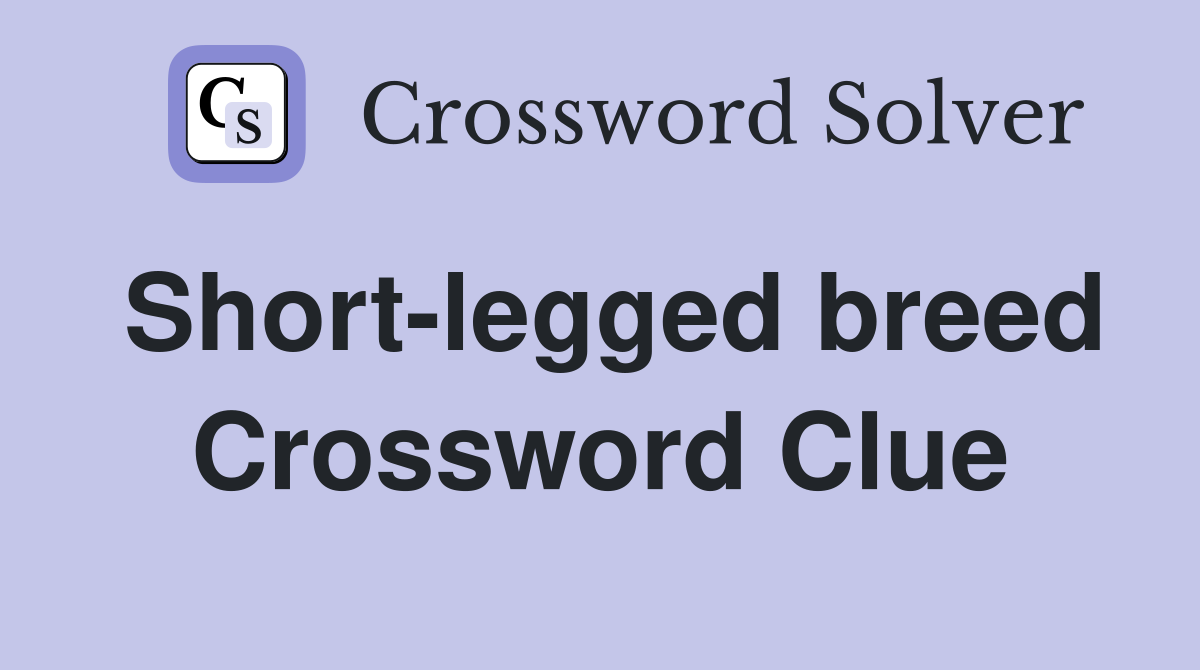 Short-legged breed Crossword Clue