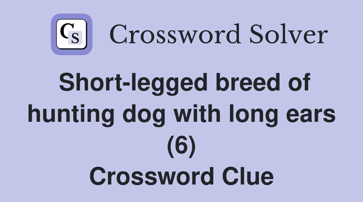 Short-legged breed of hunting dog with long ears (6) Crossword Clue
