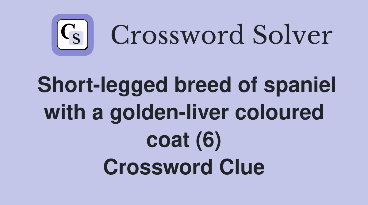 Short-legged breed of spaniel with a golden-liver coloured coat (6) Crossword Clue