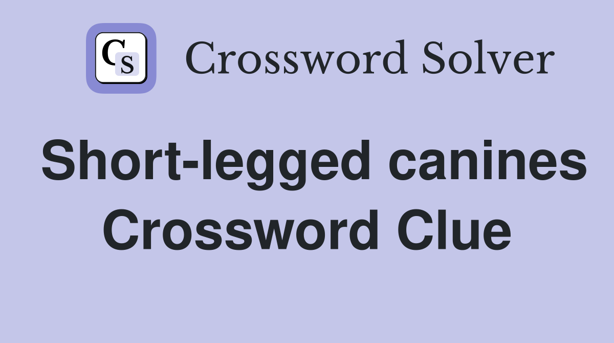 Short-legged canines Crossword Clue