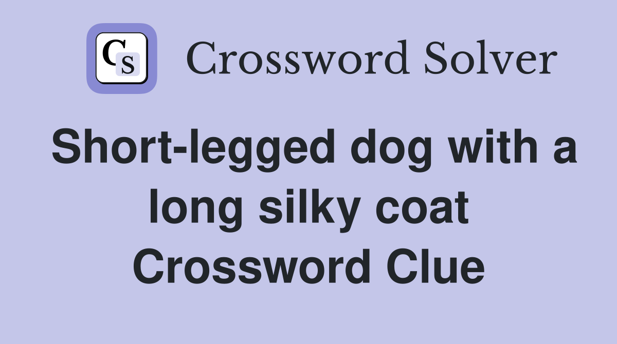Short-legged dog with a long silky coat Crossword Clue