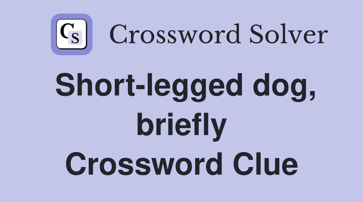 Short-legged dog, briefly Crossword Clue